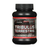 Opinie Tribulus Terrestris Hi-Tec Nutrition 